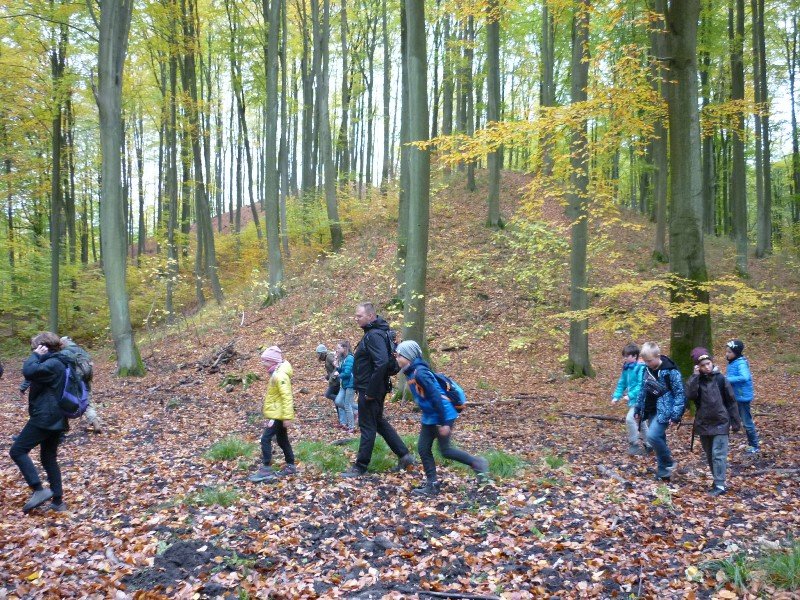 983 Leśna Sobota po Puszczy Bukowej