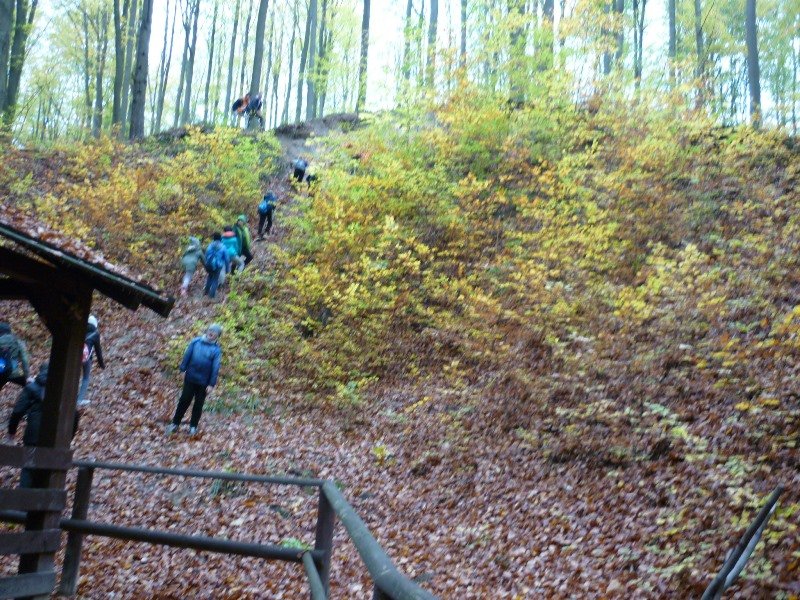 983 Leśna Sobota po Puszczy Bukowej